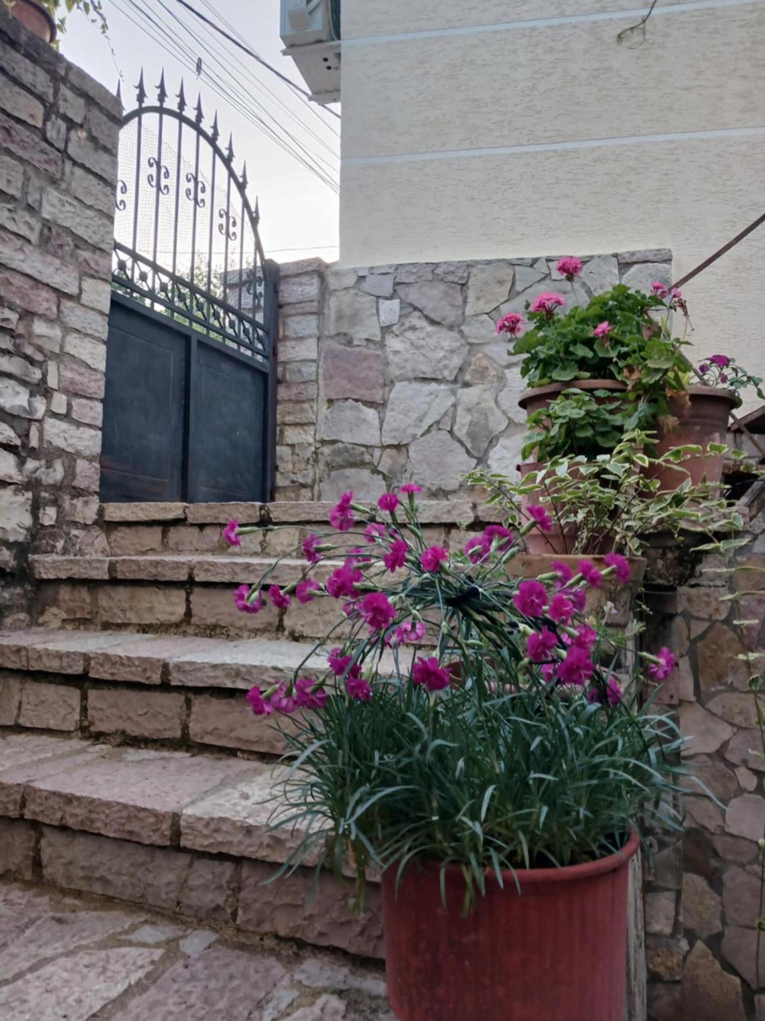 Eniguesthouse Gjirokastër Exteriör bild